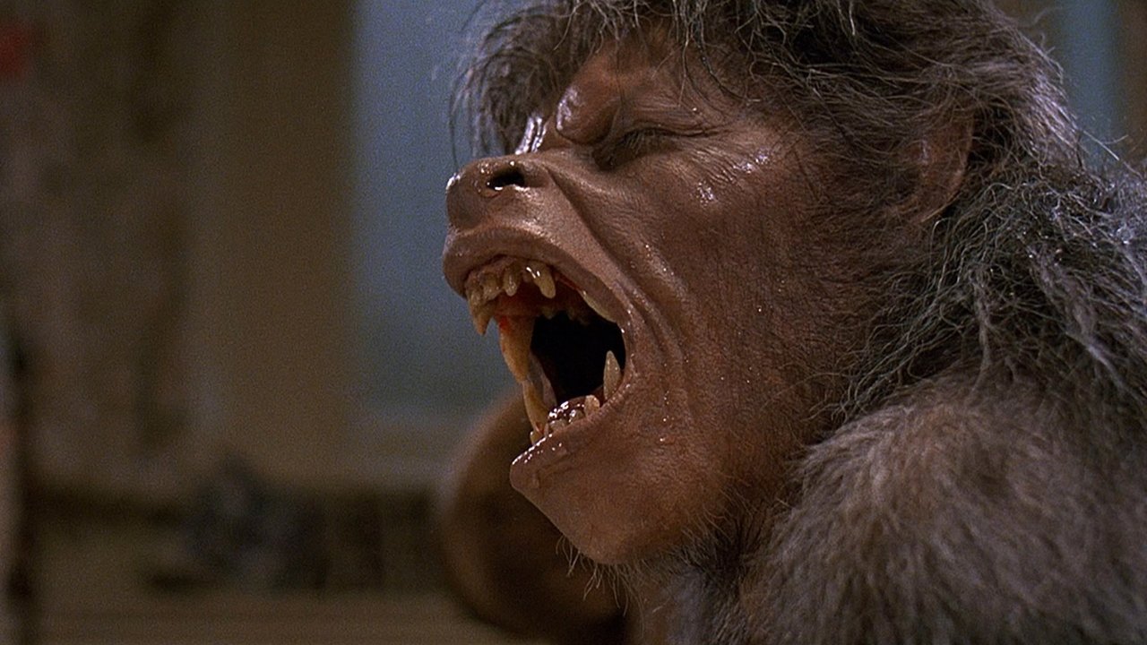 An American Werewolf Collection background